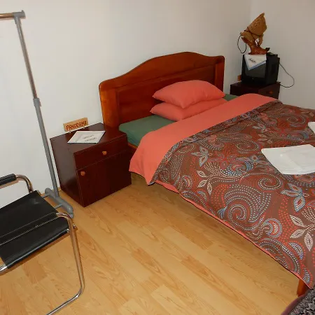 Panorama Lomnica 3* Despotovac