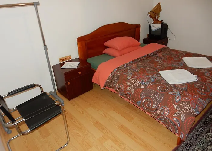 Panorama Lomnica 3* Despotovac