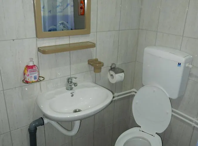 Panorama Lomnica 3* Despotovac