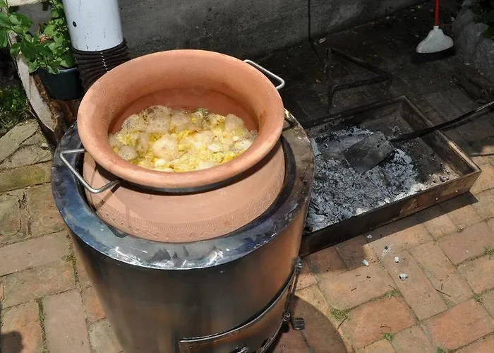 Panorama Lomnica Bed & Breakfast Despotovac